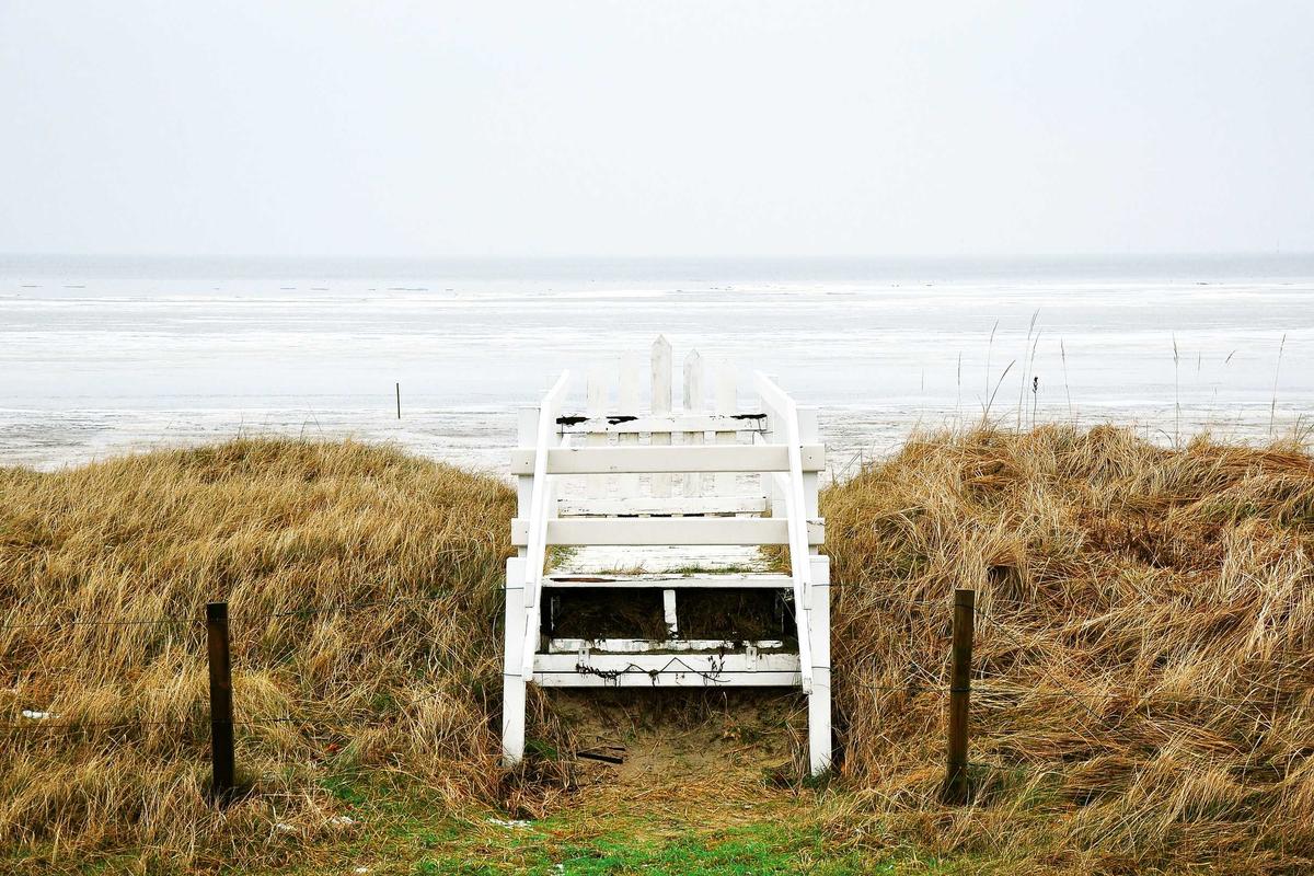 Central Bank Digital Currencies: The End of Cash?