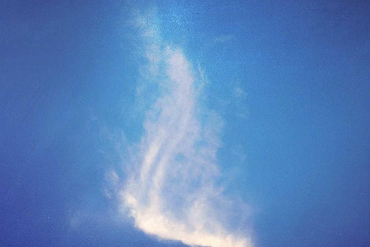 Ocean Cleanup: Breakthroughs in Bio-Plastics